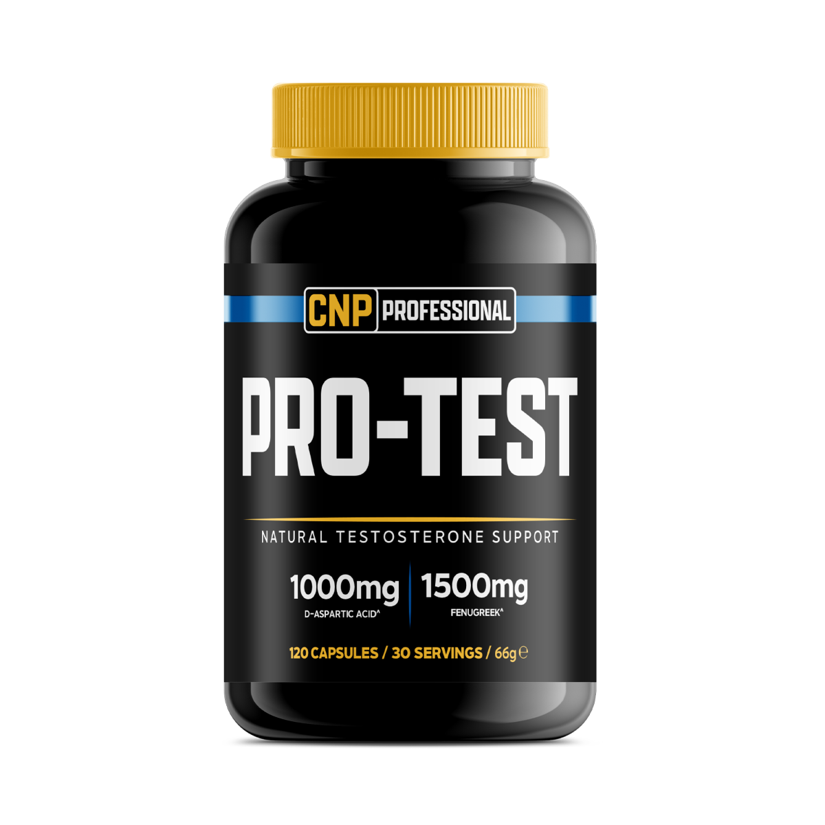 Testosterone Support
